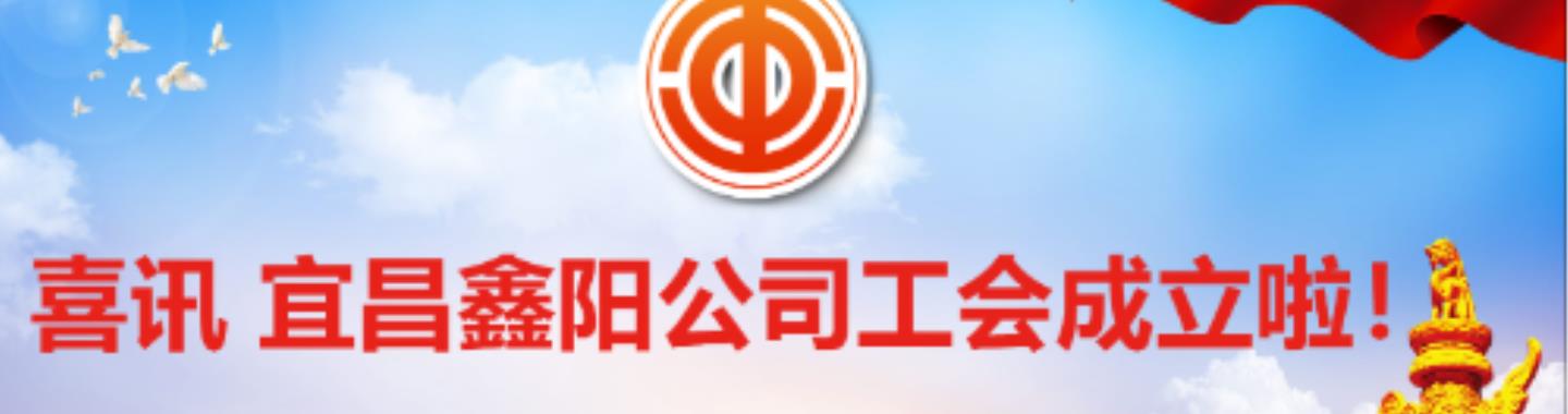 喜讯 宜昌鑫阳公司工会成立啦！